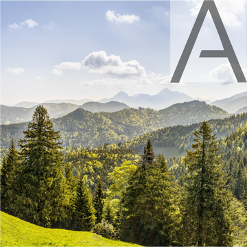 Alpine Air