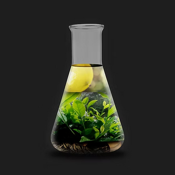 Sencha