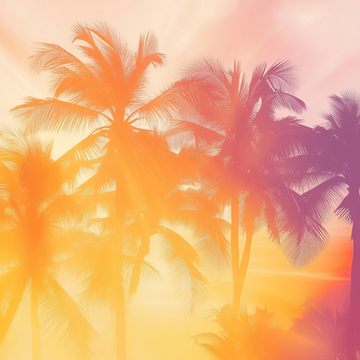 Golden Sunset