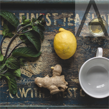Sencha Adore