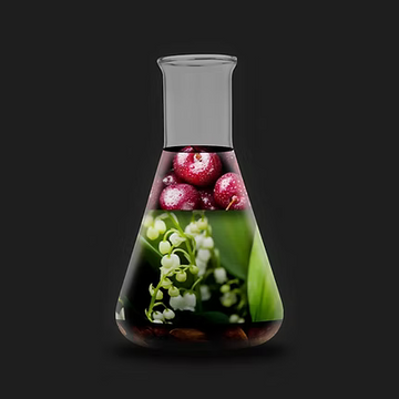 Morsal