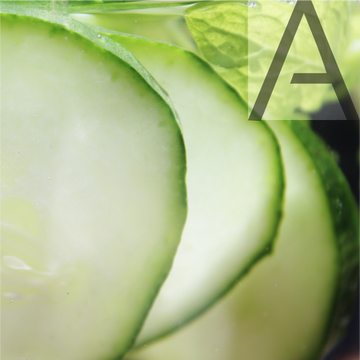 Cucumber Mint
