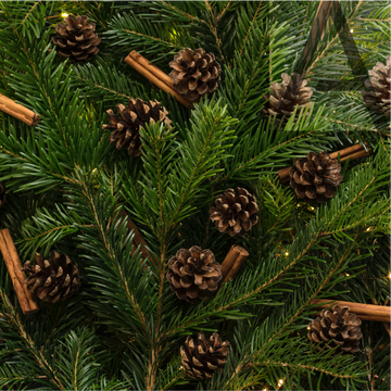 Holiday Tree 