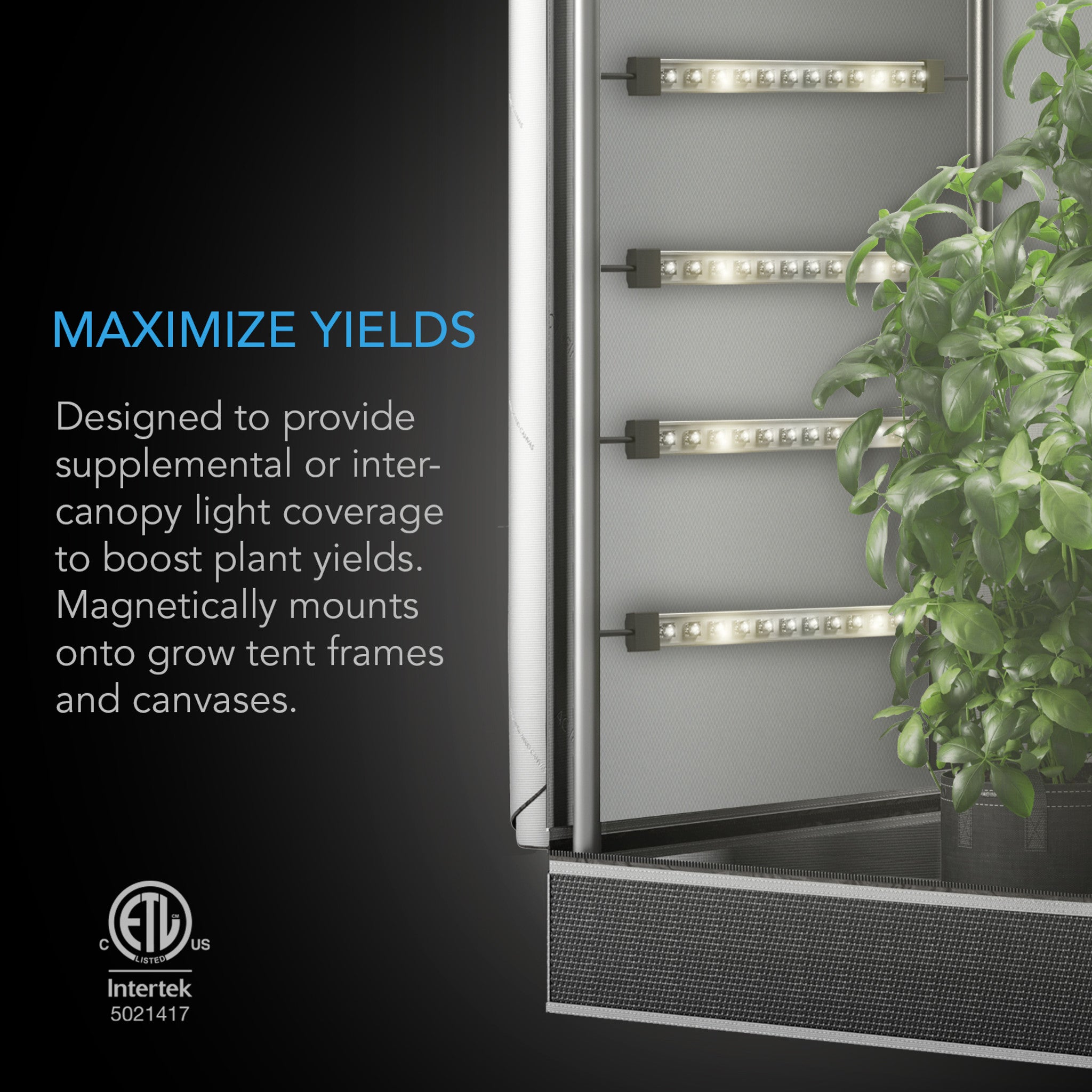 IONBEAM S16, full-spectrum LED grow light strips, Samsung LM301H EVO, 16 inches.